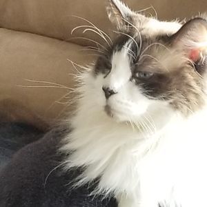 Meet your Posher, Jan